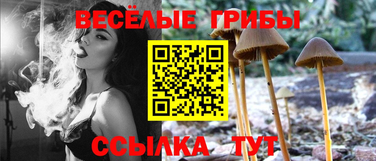 Таганрог  Галлюциногенные грибы Magic Shrooms  Вход с VPN 